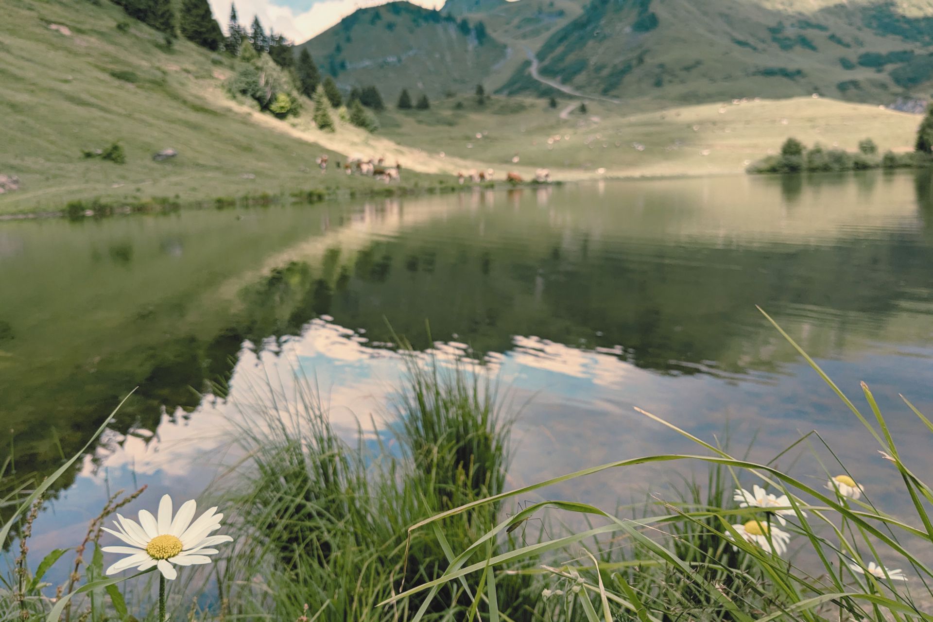 Lac de joux plane dans la vallée du giffre